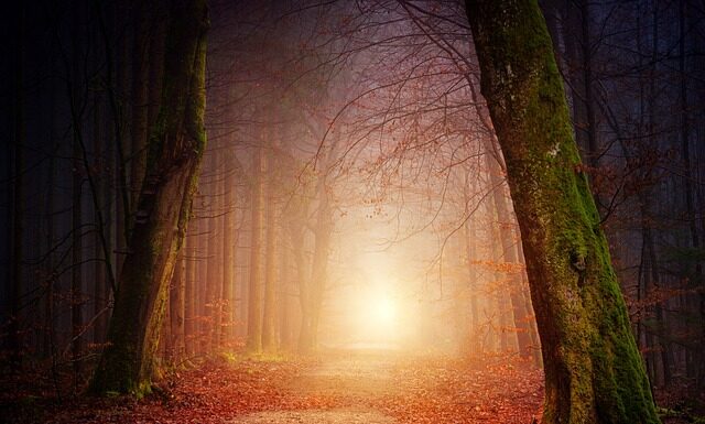 Na czym polega rachunek kosztów standardowych?