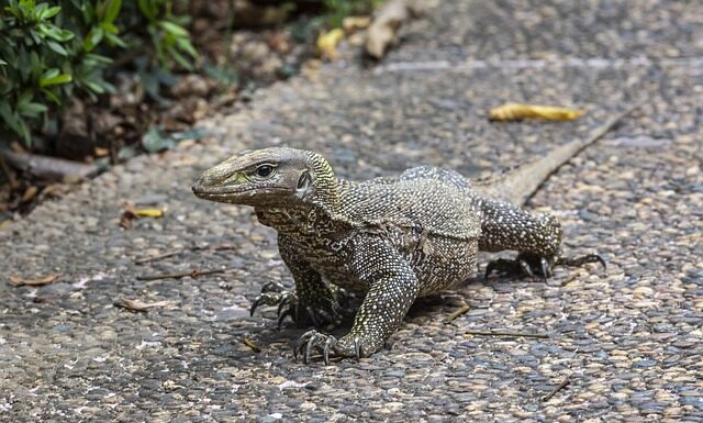 Czy można mieć 2 skierowania na rehabilitację?