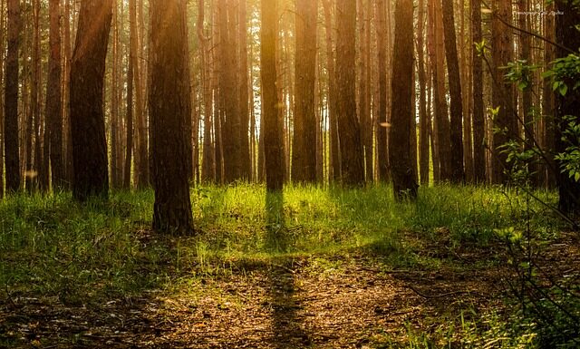 Co najbardziej cieszy rodziców? Co najbardziej cieszy rodziców?