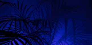 Czy pieniądze z PPK mogą przepaść?