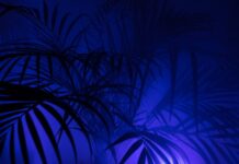 Kto zajmuje się PPK? Kto zajmuje się PPK?