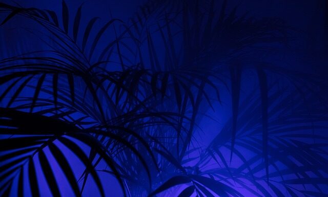 Czy PPK to dobry pomysł? Czy PPK to dobry pomysł?