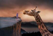 Jak żyć by nie żałować?