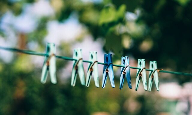 Dlaczego Gospodyni chowa Podkowę?