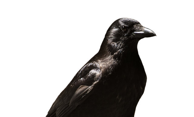 Czy zwolnienie od psychiatry zostaje w papierach?