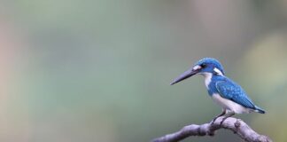 Co na wzmocnienie organizmu po zabiegu?