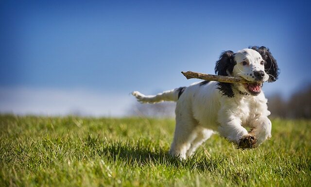 Jak odzyskać siły po operacji?