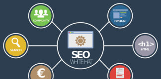 Czy SEO się opłaca